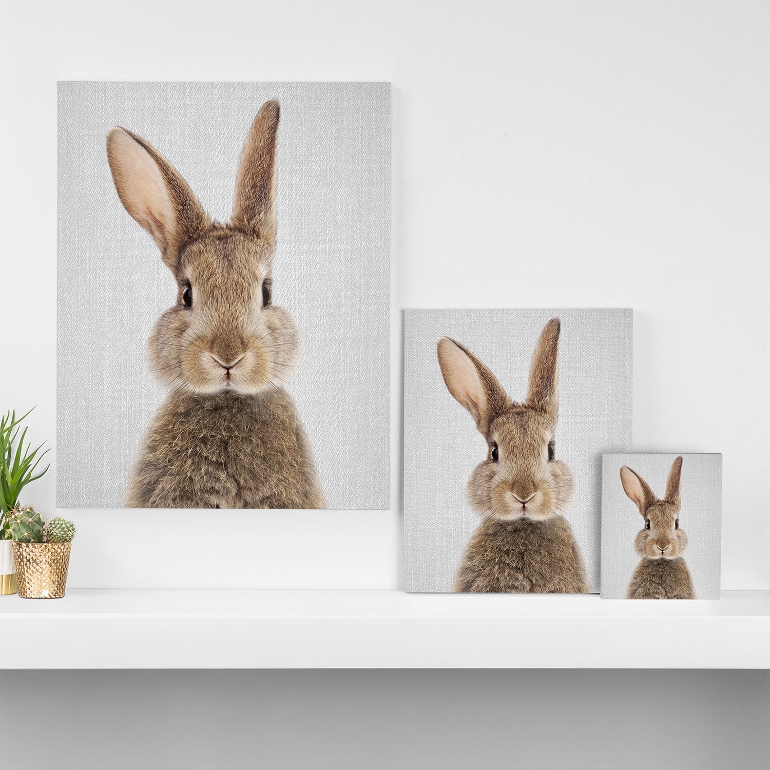 Rabbit - Colorful Canvas Print Gallery Image 3