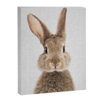 Rabbit - Colorful Canvas Print Gallery Image 8