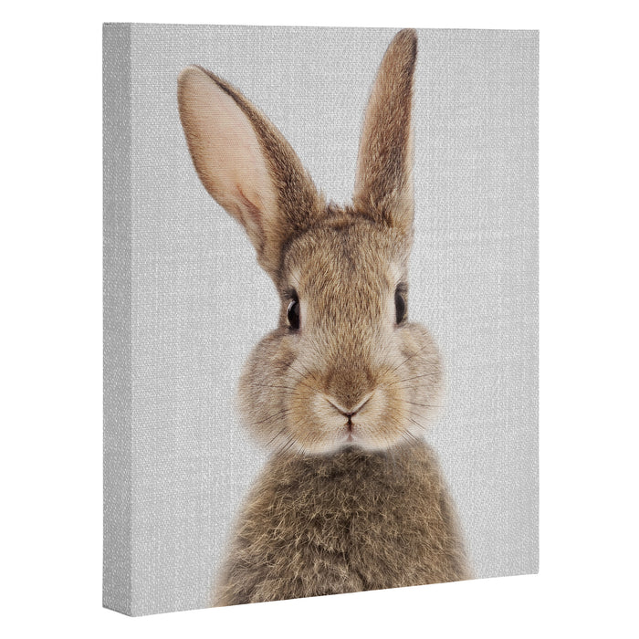 Rabbit - Colorful Canvas Print Gallery Image 1