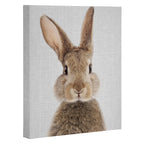Rabbit - Colorful Canvas Print Gallery Image 3