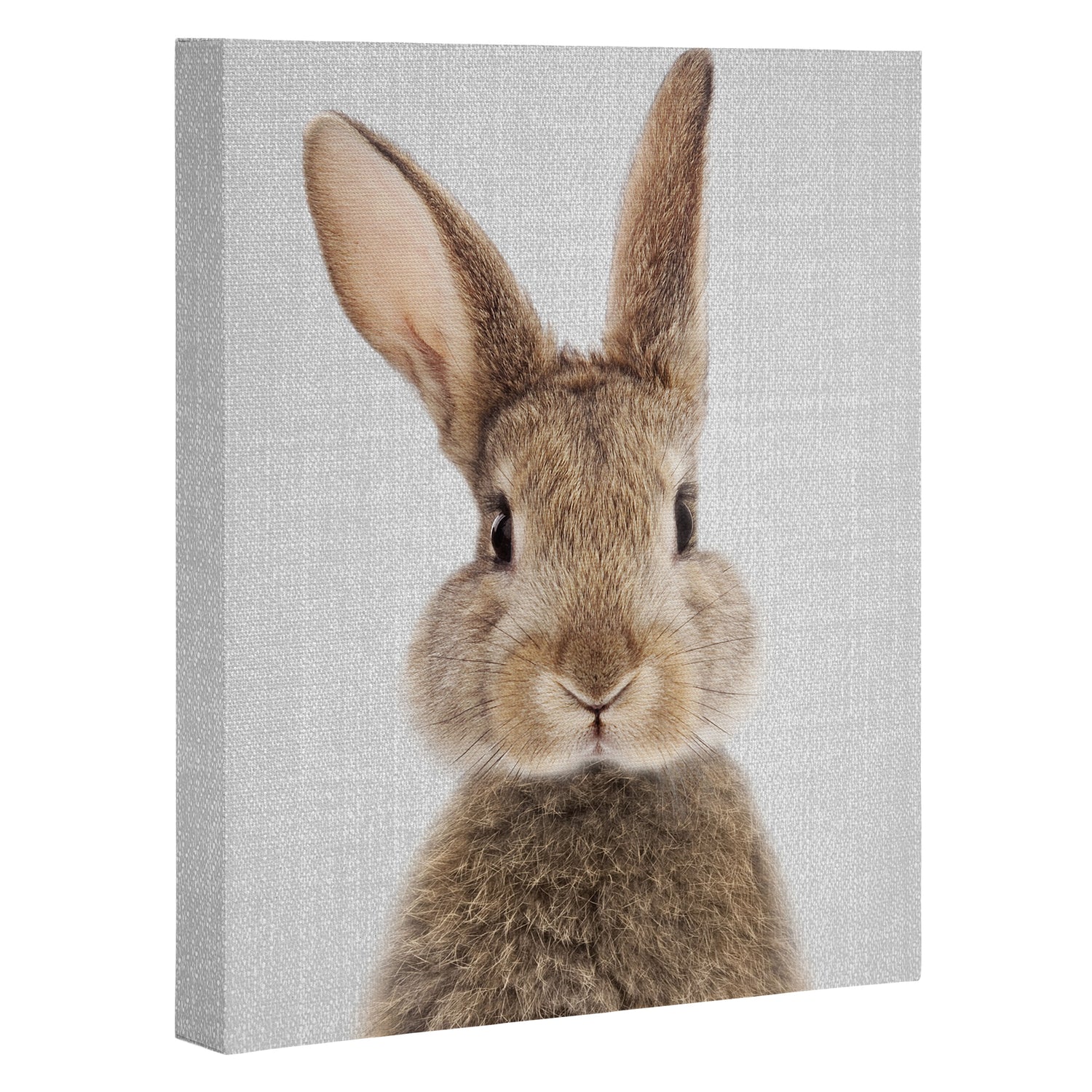 Rabbit - Colorful Canvas Print Gallery Image 3