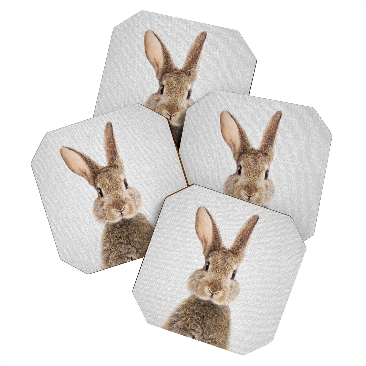 Rabbit - Colorful Coaster Gallery Image 1