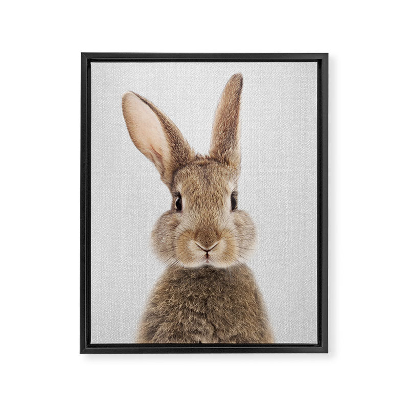 Rabbit - Colorful Framed Canvas Print Gallery Image 8