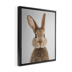 Rabbit - Colorful Framed Canvas Print Gallery Image 2