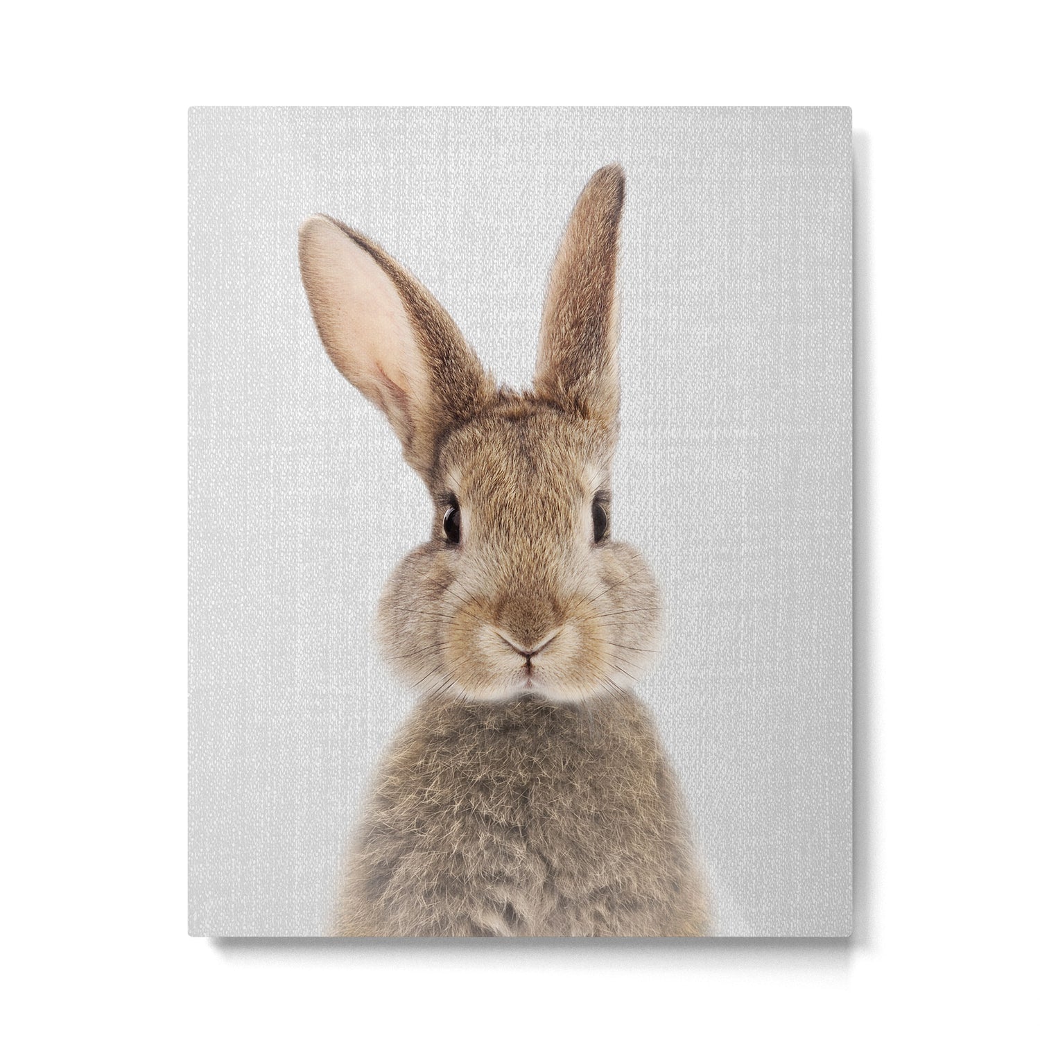 Rabbit - Colorful Metal Print Gallery Image 6