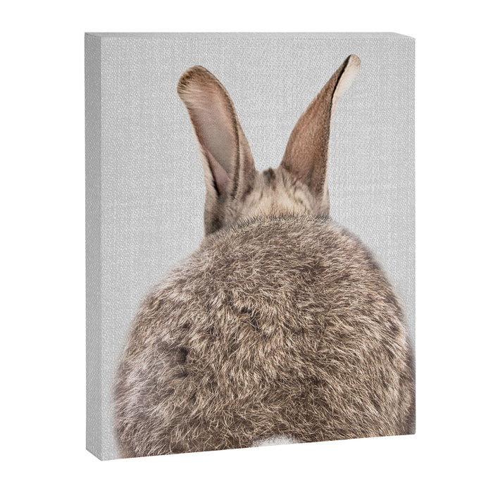 Rabbit Tail - Colorful Canvas Print Gallery Image 1