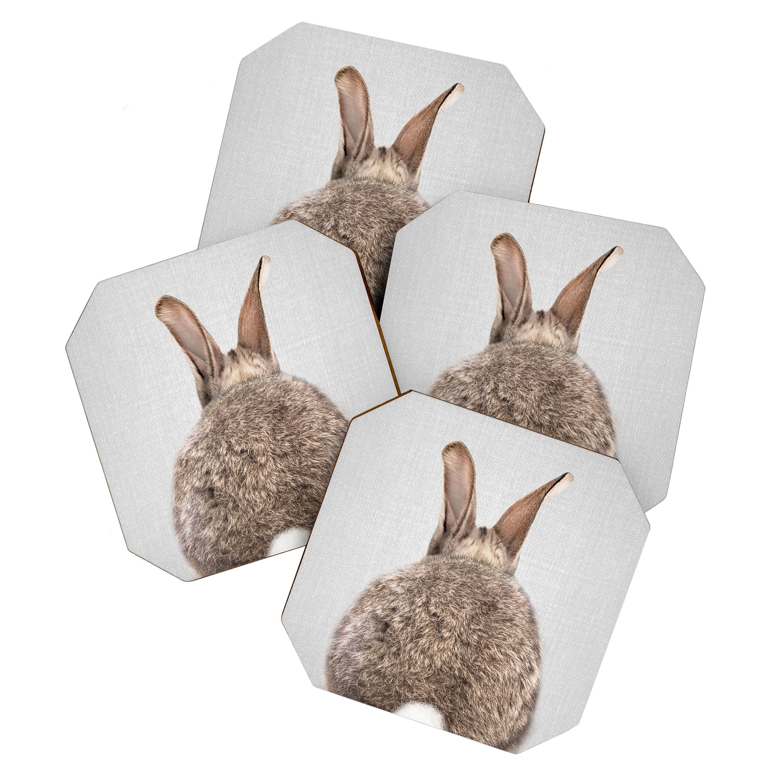 Rabbit Tail - Colorful Coaster Gallery Image 1