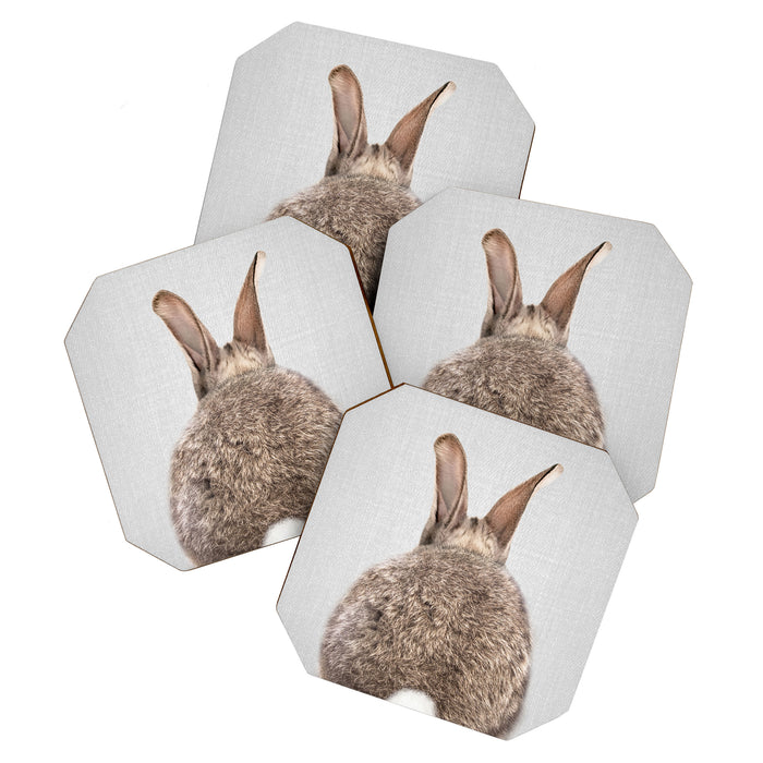 Rabbit Tail - Colorful Coaster Gallery Image 1