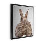 Rabbit Tail - Colorful Framed Canvas Print Gallery Image 2