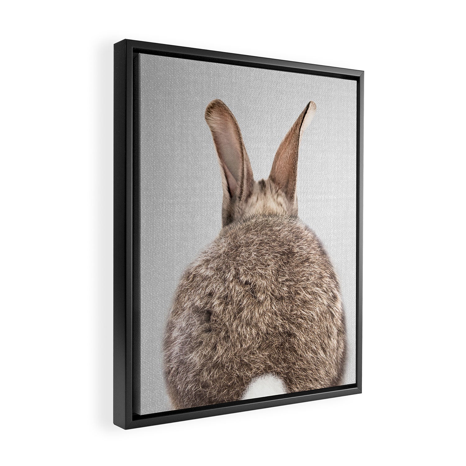 Rabbit Tail - Colorful Framed Canvas Print Gallery Image 2