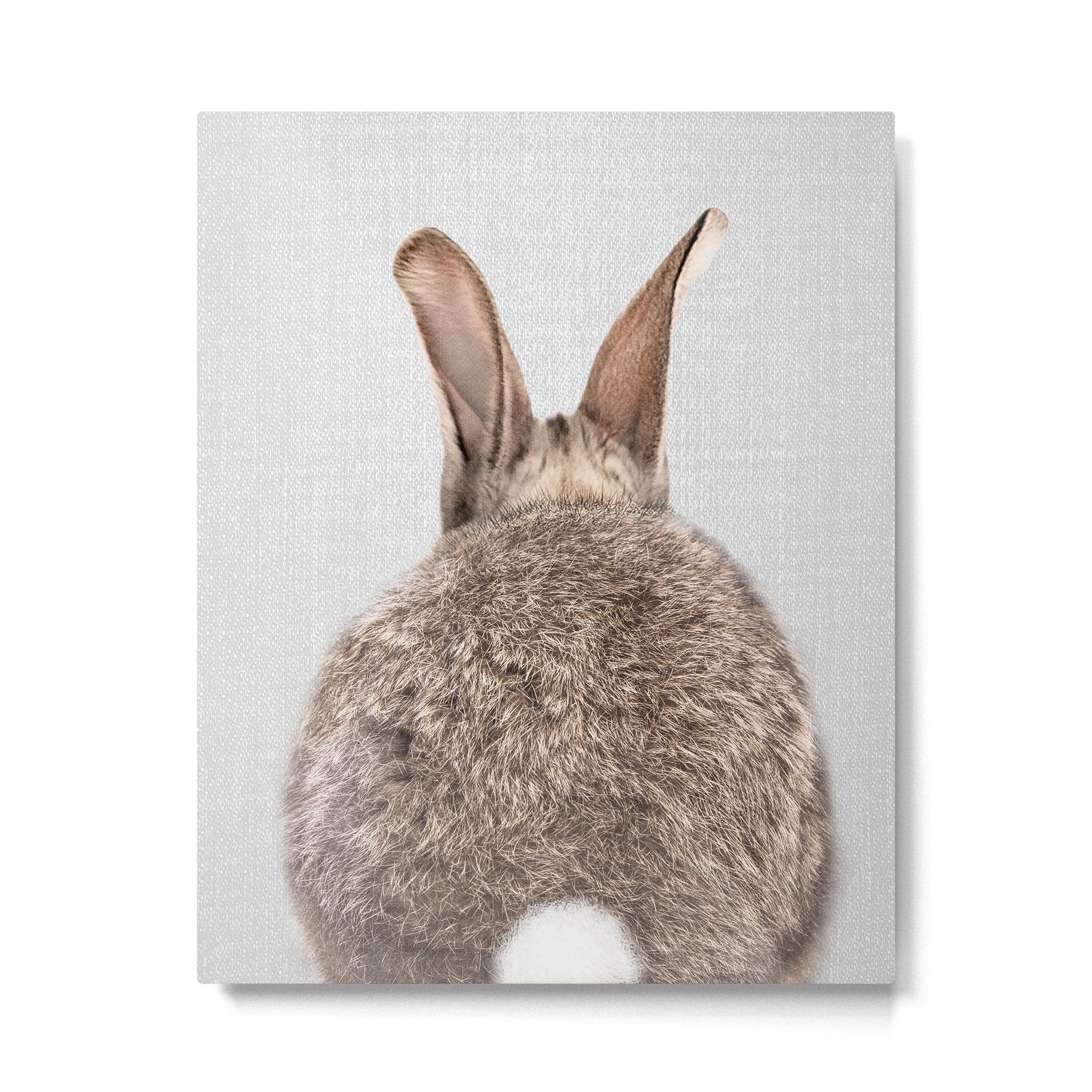 Rabbit Tail - Colorful Metal Print Gallery Image 6