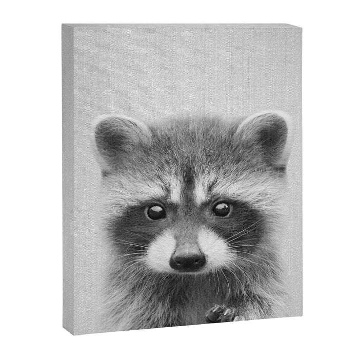 Raccoon - Black & White Canvas Print Gallery Image 1
