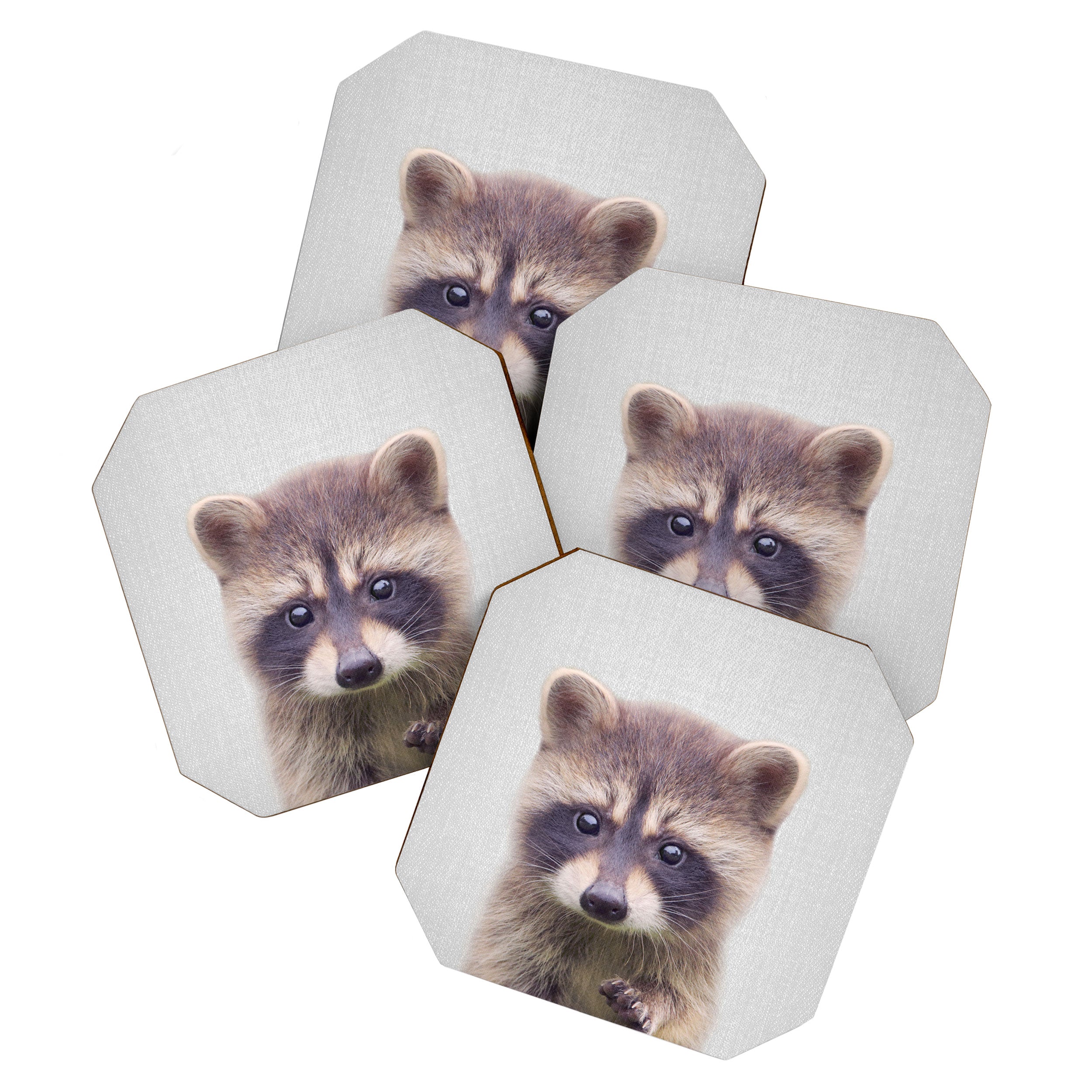 Raccoon - Colorful Coaster Gallery Image 1