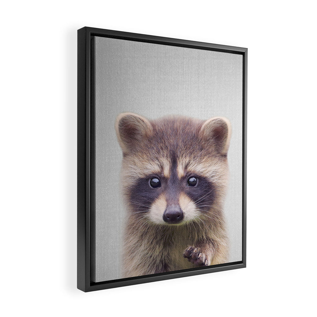 Raccoon - Colorful Framed Canvas Print Gallery Image 2