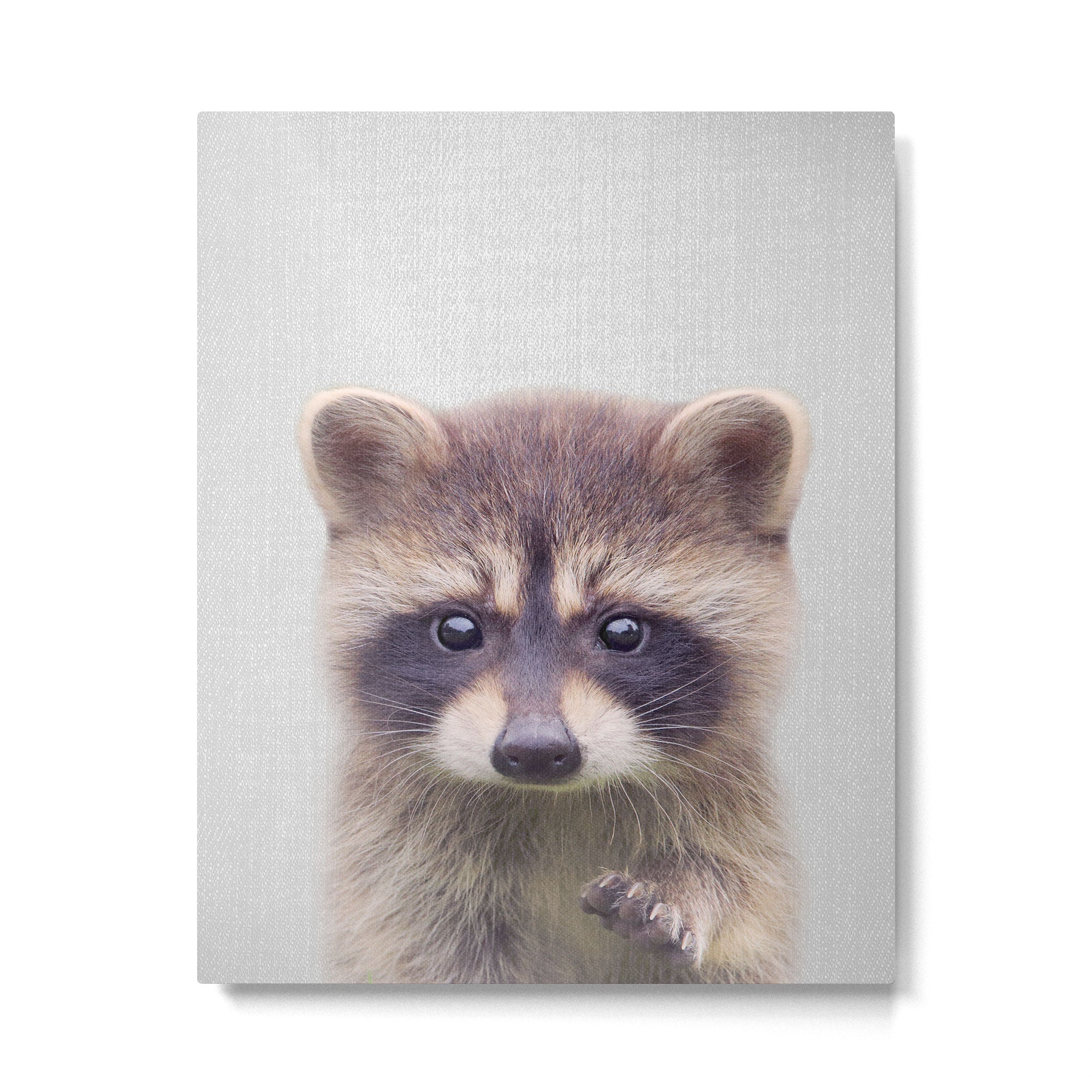 Raccoon - Colorful Metal Print Gallery Image 6
