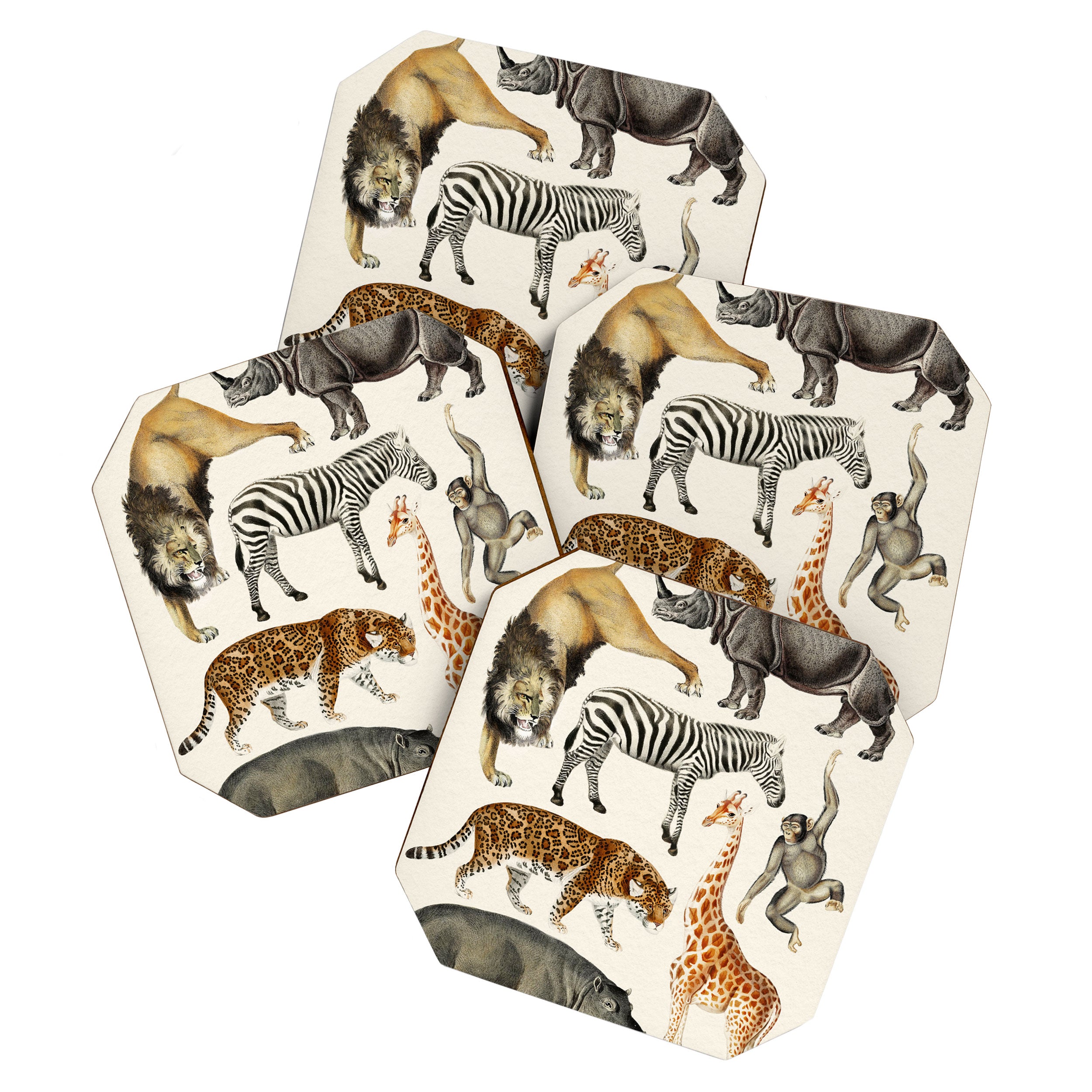 Safari Animals Collection Coaster Gallery Image 1