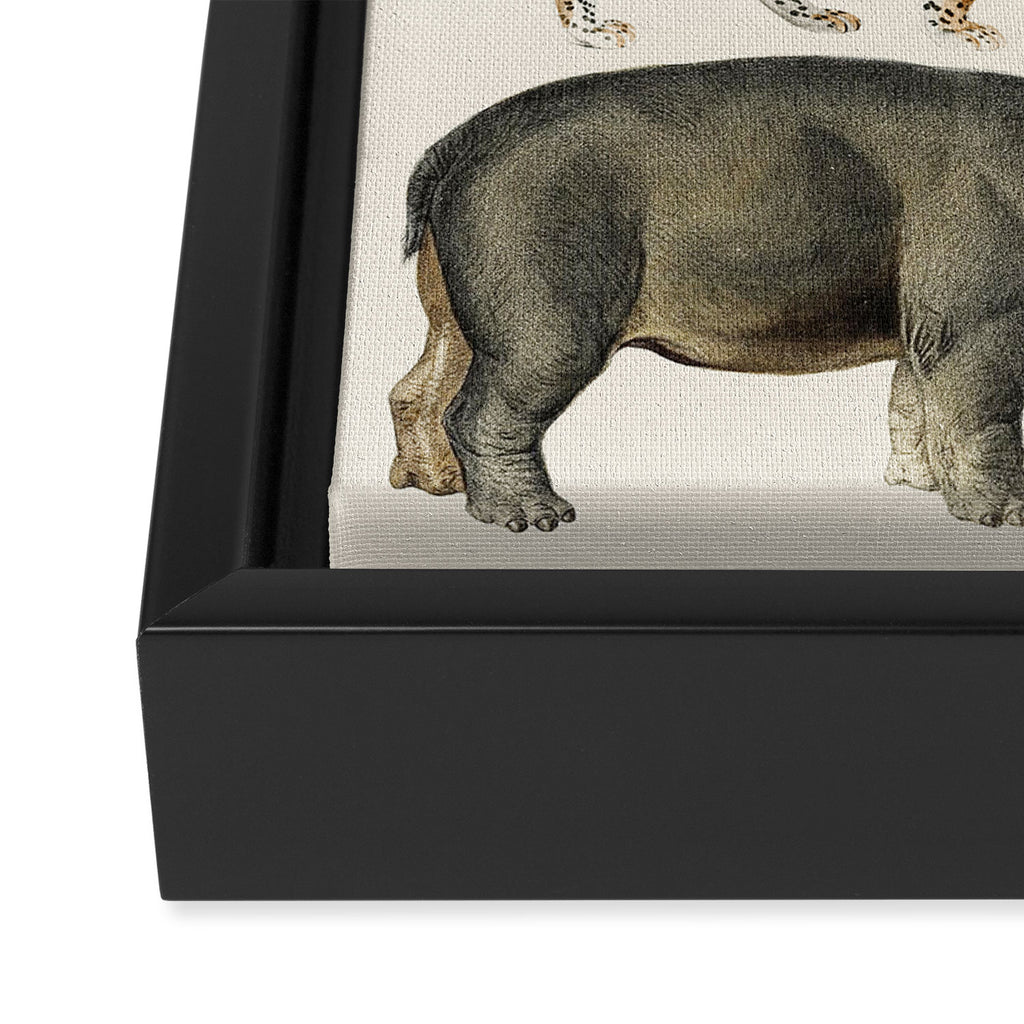 Safari Animals Collection Framed Canvas Print Gallery Image 3