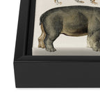 Safari Animals Collection Framed Canvas Print Gallery Image 3
