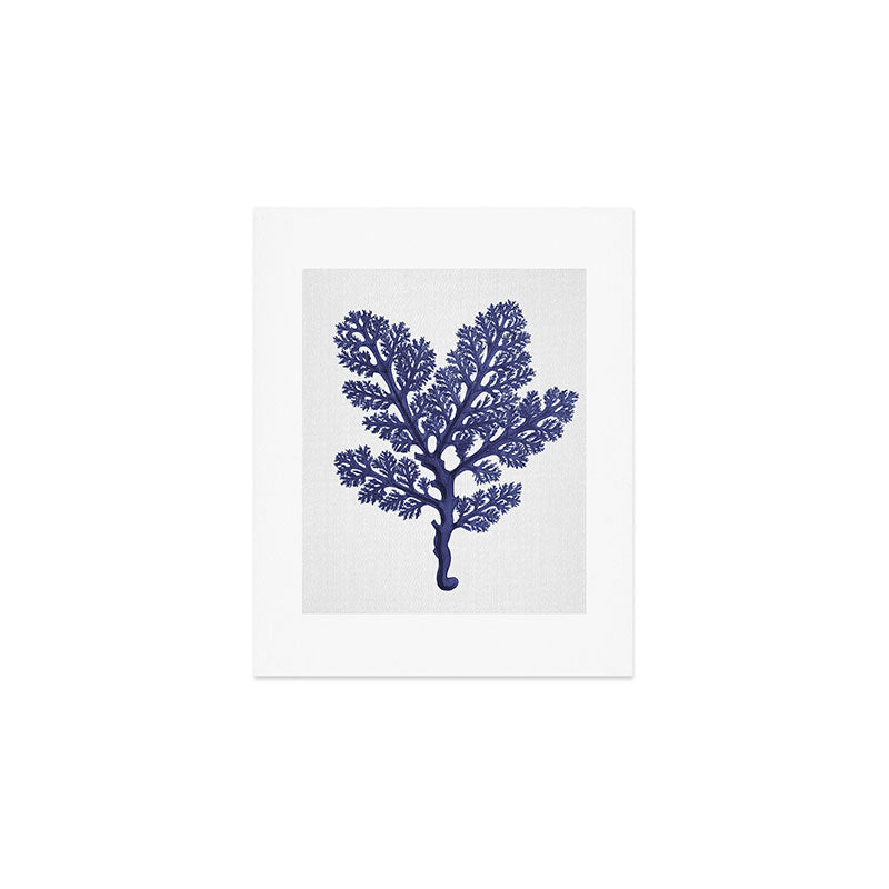 Seaweed 2 Art Print Gallery Image 1