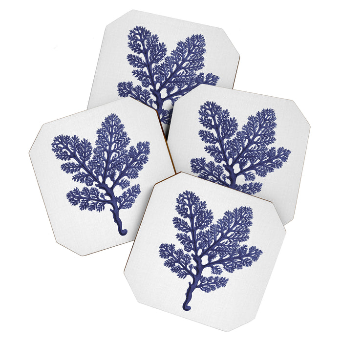 Seaweed 2 Coaster Gallery Image 1