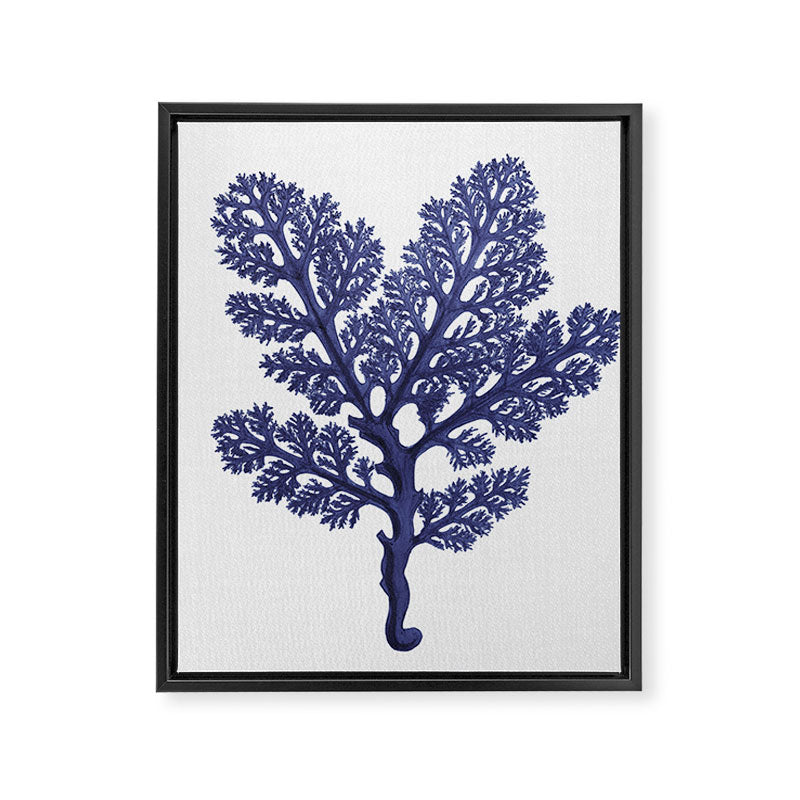 Seaweed 2 Framed Canvas Print Gallery Image 8