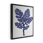 Seaweed 2 Framed Canvas Print Gallery Image 2