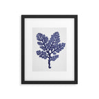 Seaweed 2 Framed Art Print Gallery Image 6