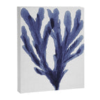 Seaweed 6 Canvas Print Gallery Image 8