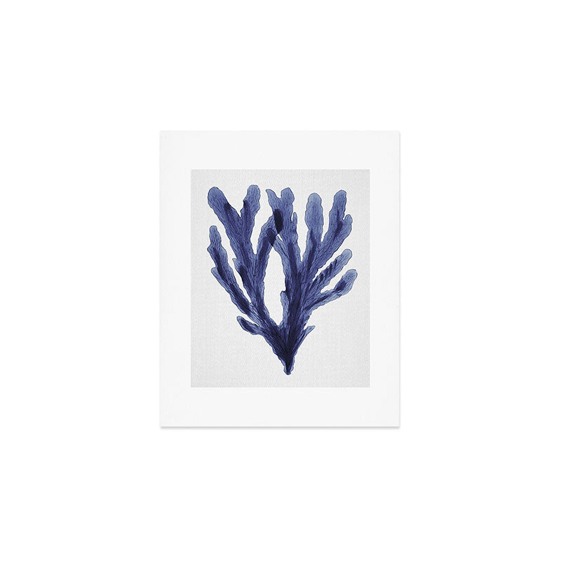 Seaweed 6 Art Print Gallery Image 1