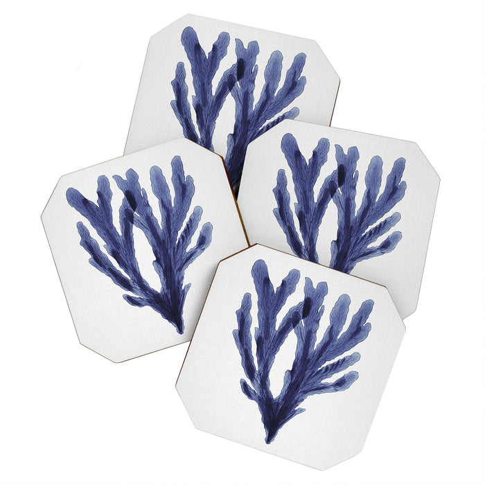 Seaweed 6 Coaster Gallery Image 1