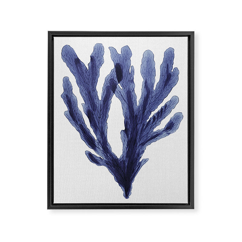 Seaweed 6 Framed Canvas Print Gallery Image 8