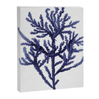 Seaweed 8 Canvas Print Gallery Image 8