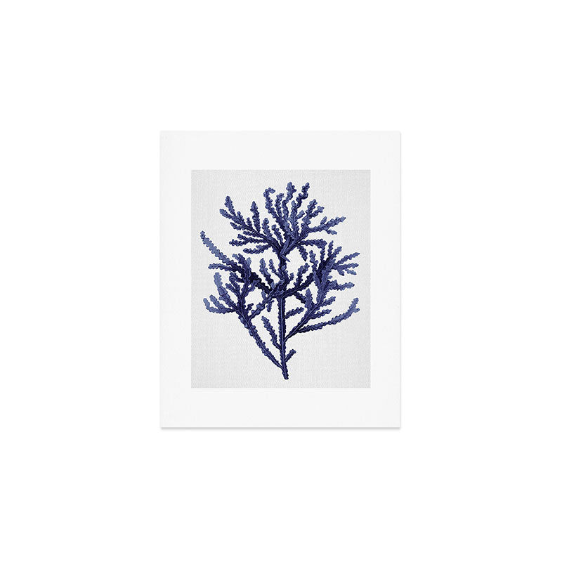 Seaweed 8 Art Print Gallery Image 1