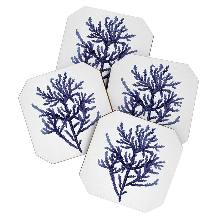 Seaweed 8 Coaster Gallery Image 1