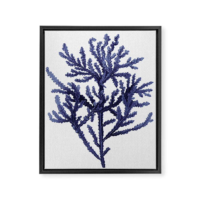 Seaweed 8 Framed Canvas Print Gallery Image 1