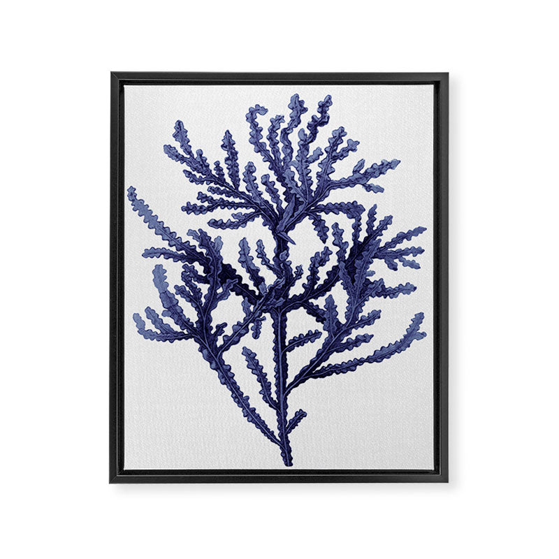 Seaweed 8 Framed Canvas Print Gallery Image 8