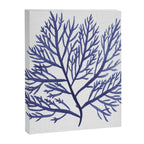 Seaweed 9 Canvas Print Gallery Image 8