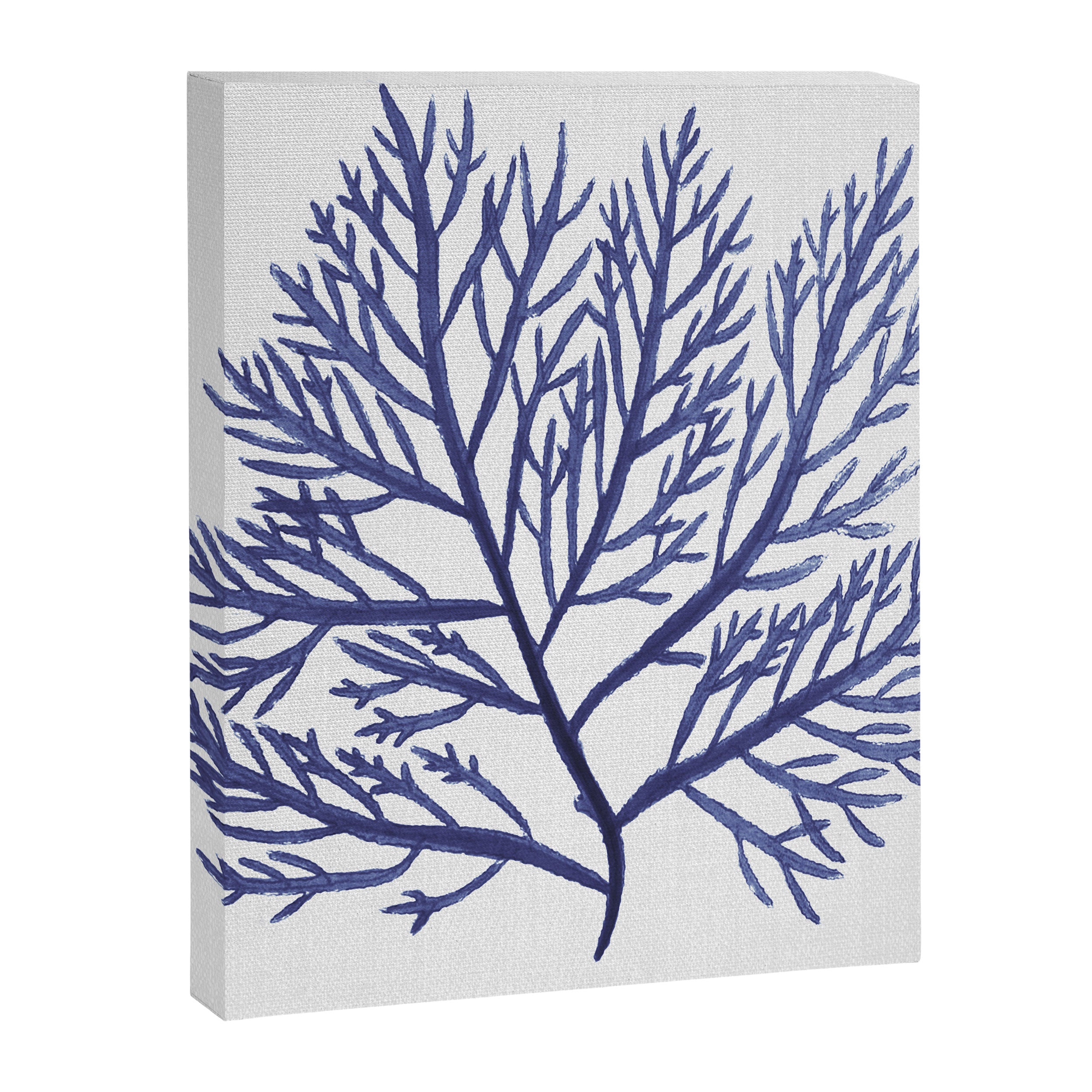 Seaweed 9 Canvas Print Gallery Image 8