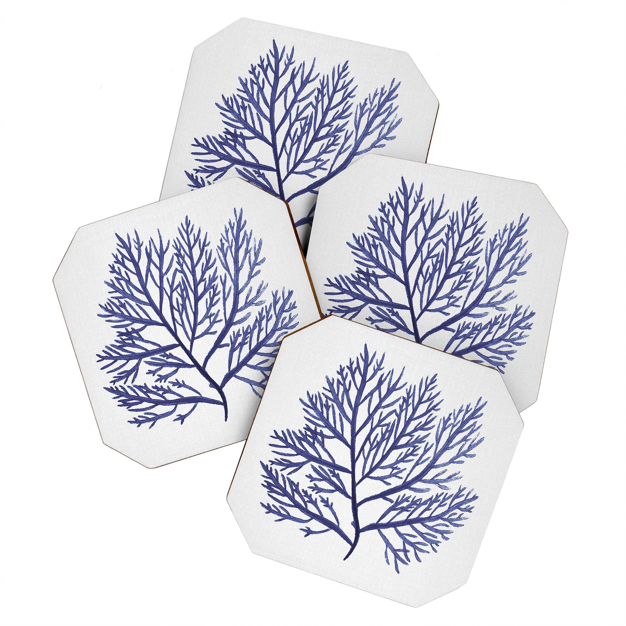 Seaweed 9 Coaster Gallery Image 1