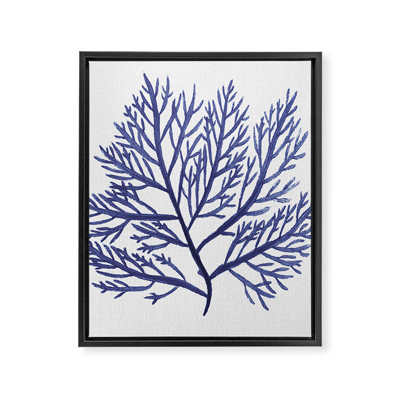 Seaweed 9 Framed Canvas Print Gallery Image 8