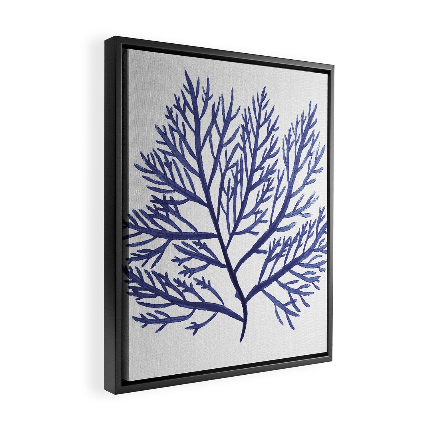 Seaweed 9 Framed Canvas Print Gallery Image 2