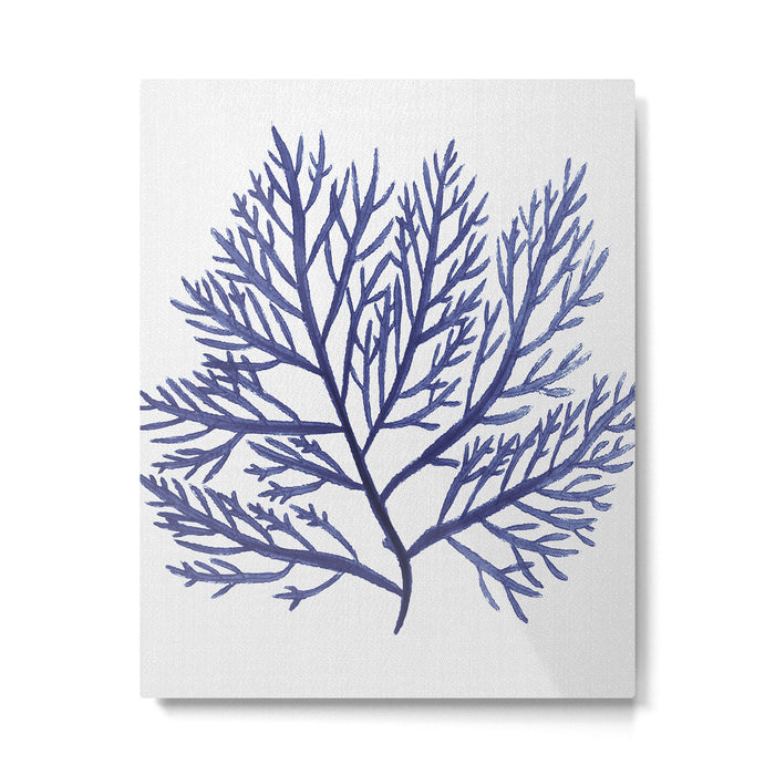 Seaweed 9 Metal Print Gallery Image 1