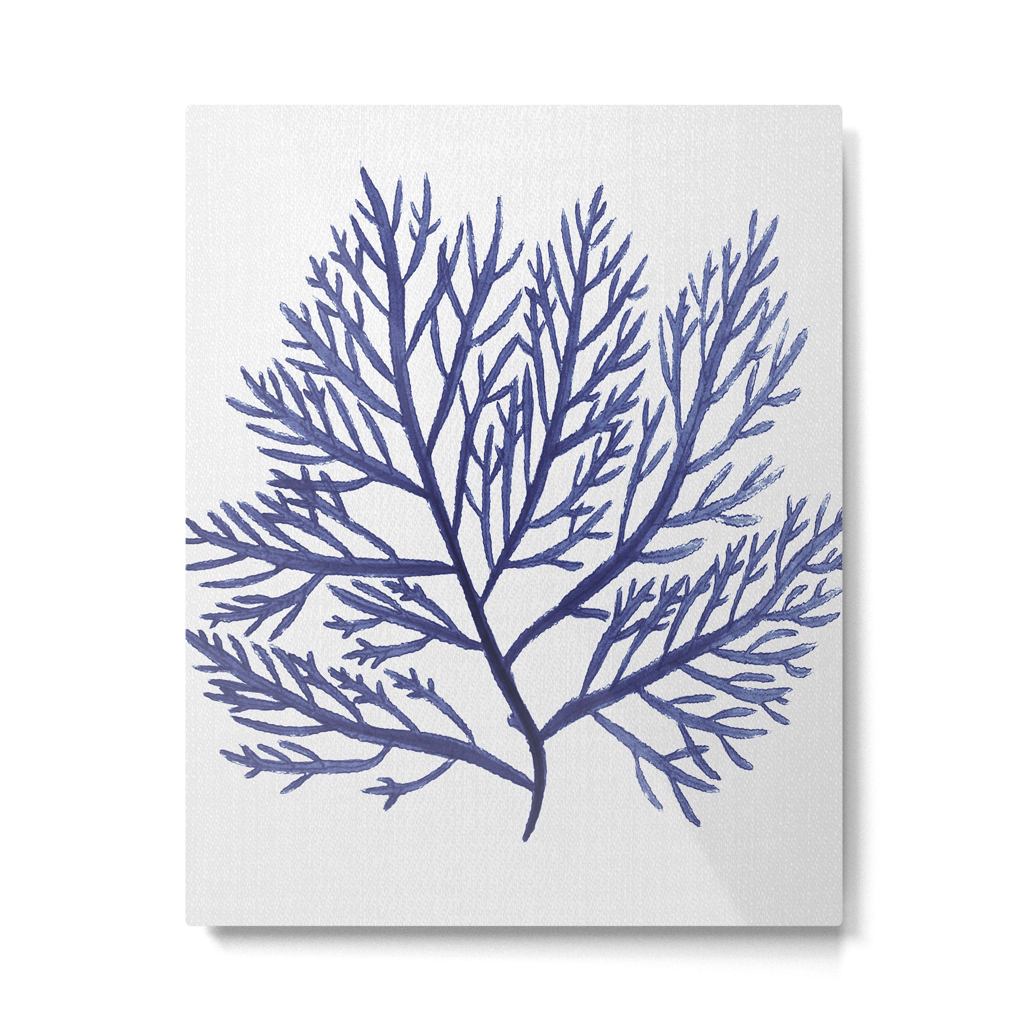 Seaweed 9 Metal Print Gallery Image 6