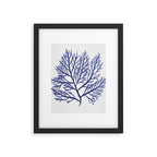 Seaweed 9 Framed Art Print Gallery Image 6