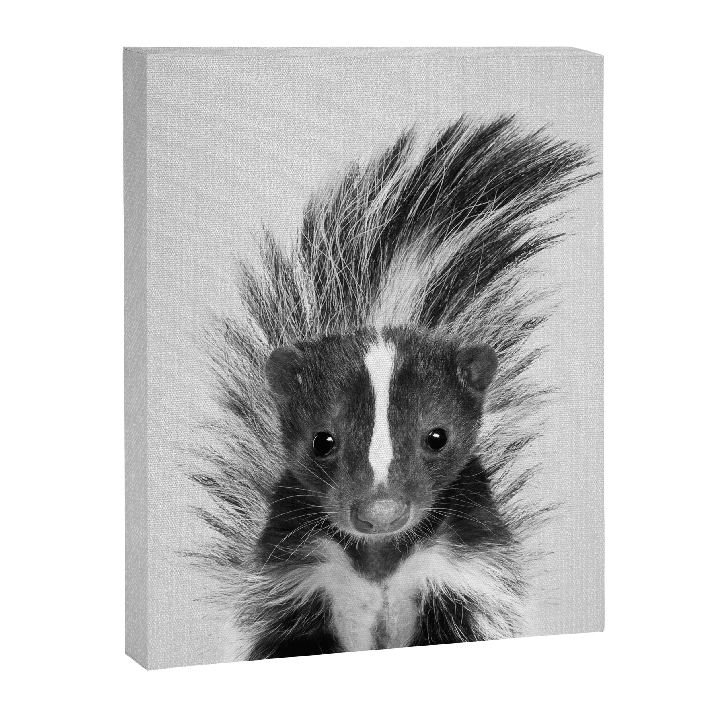 Skunk - Black & White Canvas Print Gallery Image 8
