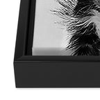Skunk - Black & White Framed Canvas Print Gallery Image 3