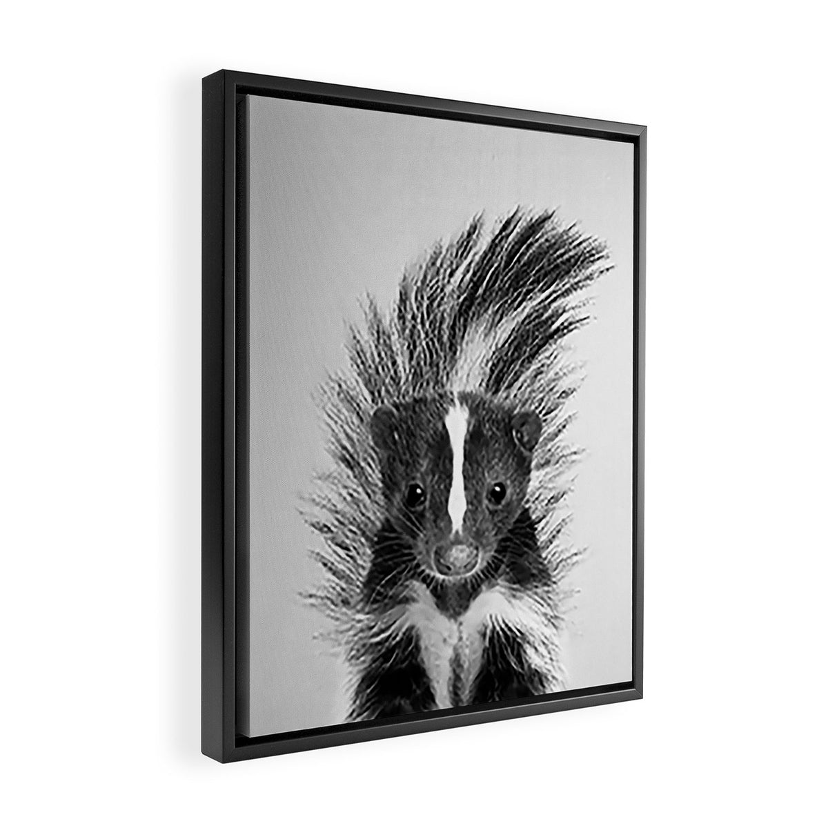 Skunk - Black & White Framed Canvas Print Gallery Image 2