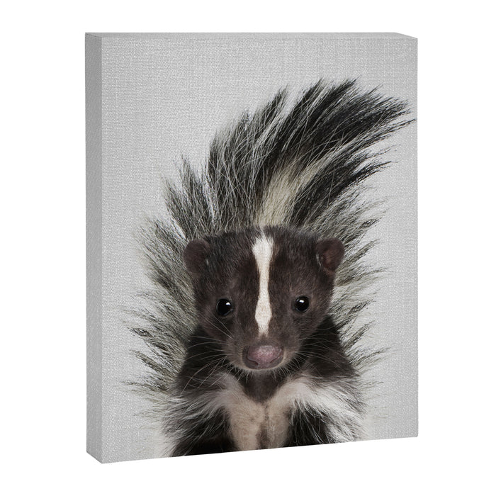 Skunk - Colorful Canvas Print Gallery Image 1