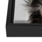 Skunk - Colorful Framed Canvas Print Gallery Image 3
