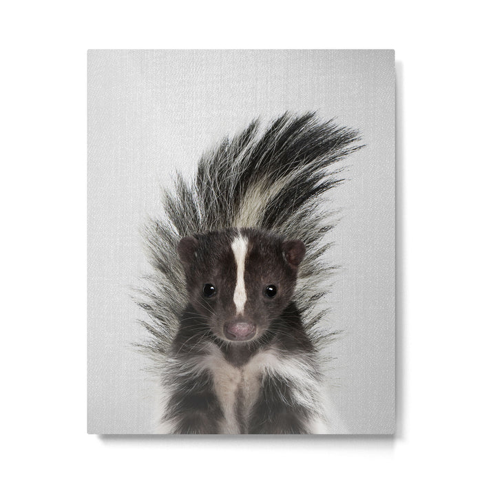 Skunk - Colorful Metal Print Gallery Image 1